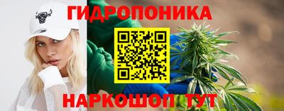 молекула духа Бузулук