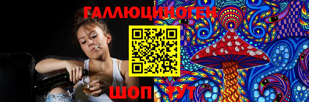 Псилоцибиновые грибы Cubensis Сарапул