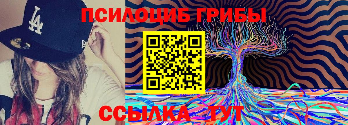 Галлюциногенные грибы Psilocybe  Вход с VPN  Сарапул 